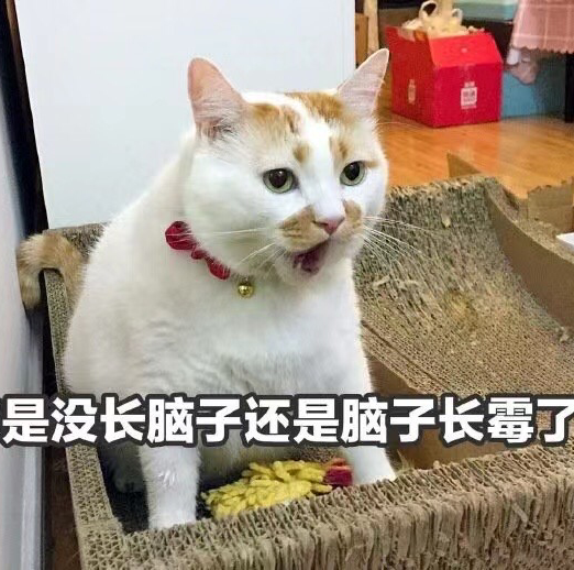 大袜子🫠（上学期）