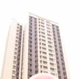 毛锅