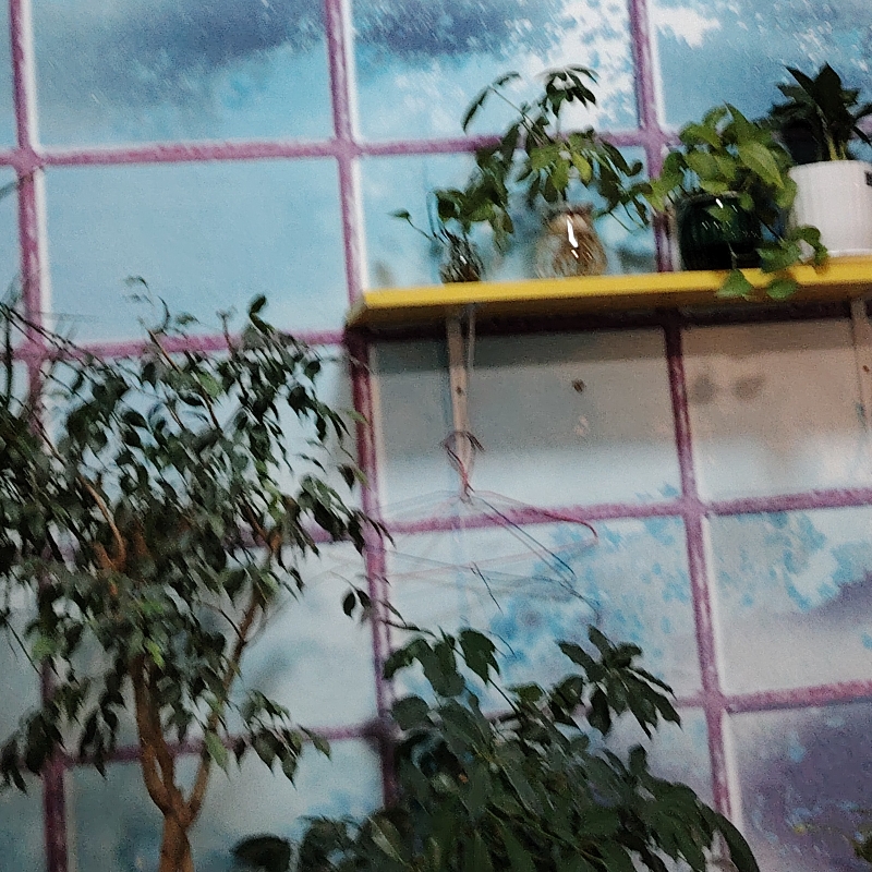 老三