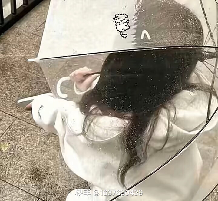 遇.🐾
