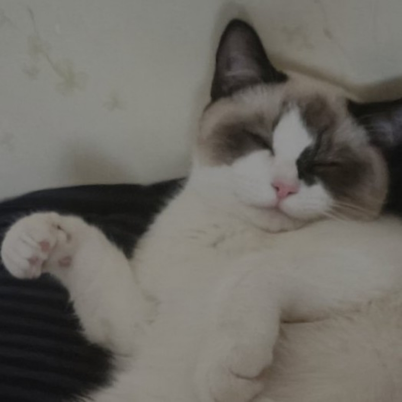 ?  灰太狼  ?