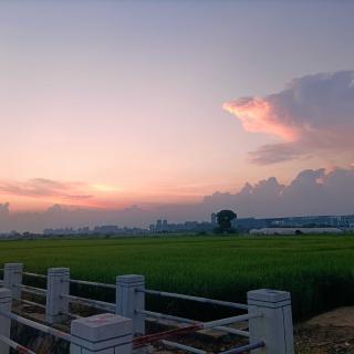 zzhang