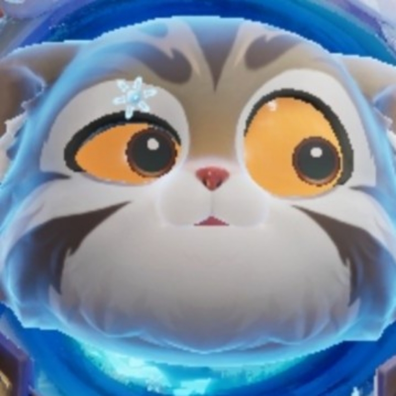 阳光