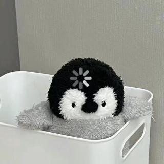 大聪明