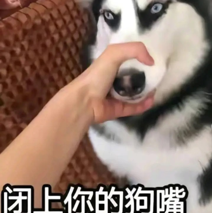 缘来是你