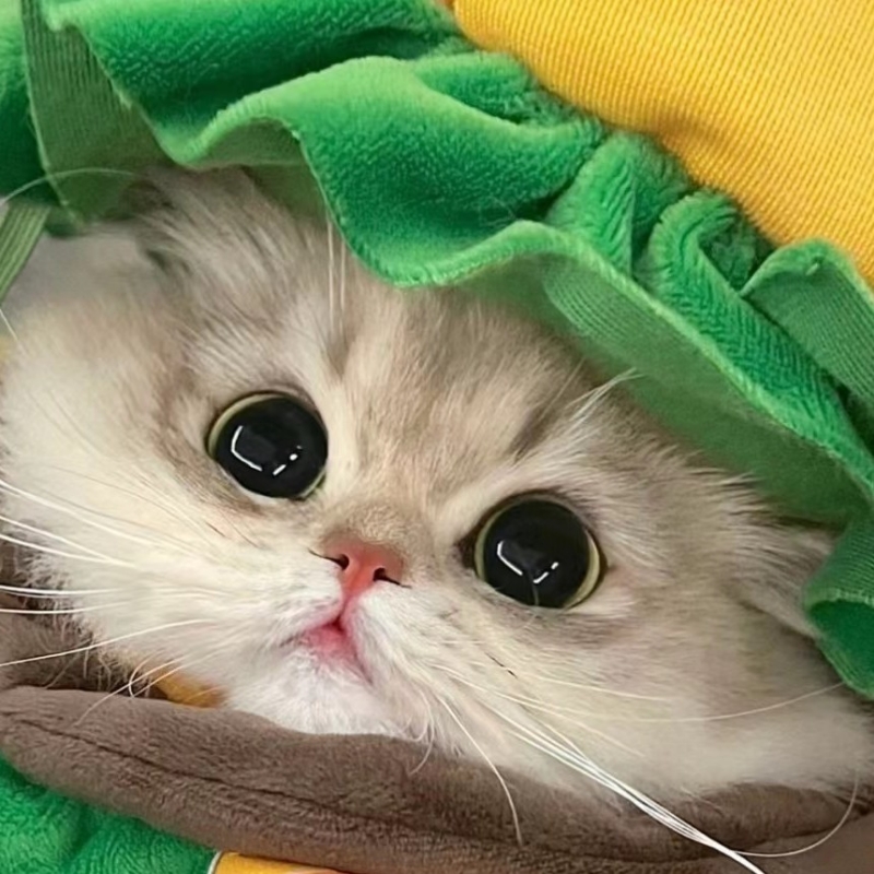 江南的春天