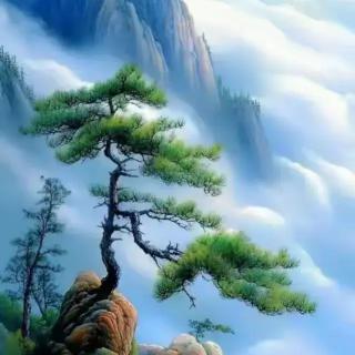一个年轻的老头