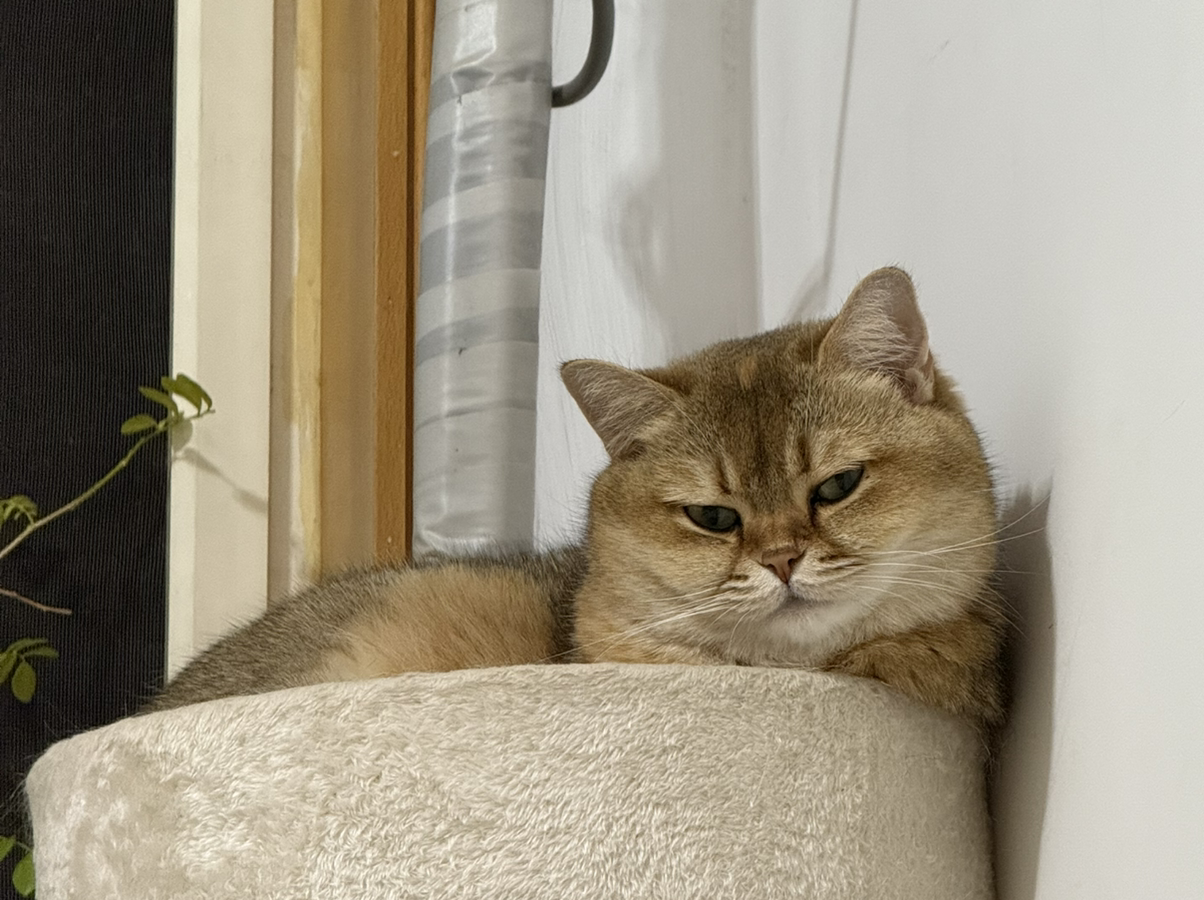 伊凡