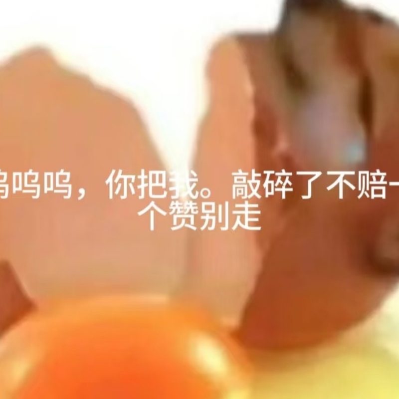 把我砸碎了！（赔钱！）