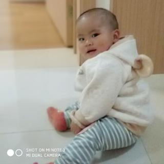 zhijianli88