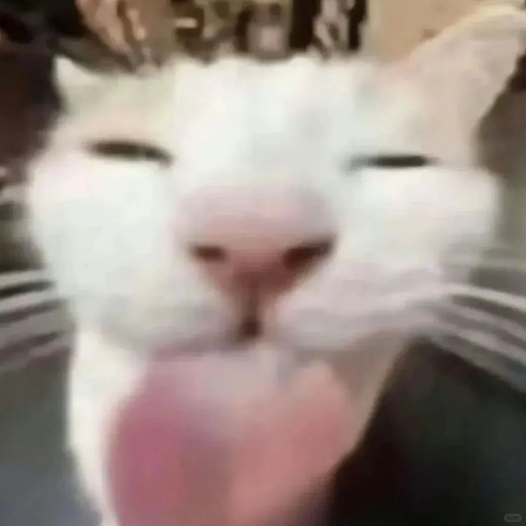 欢迎回家
