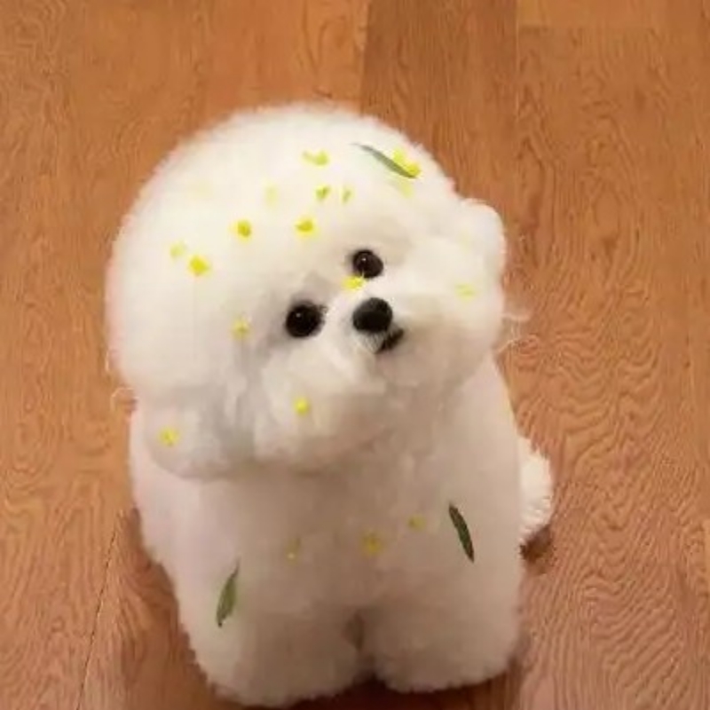 乖宝宝⊹꙳ ˶˙ᵕ˙˶ ⊹꙳