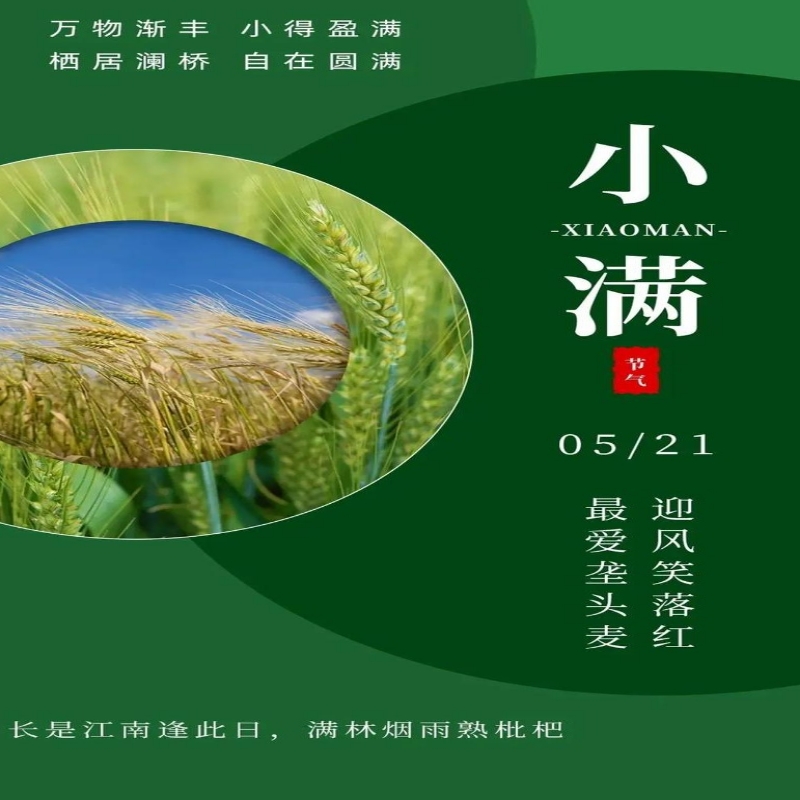 小虎队