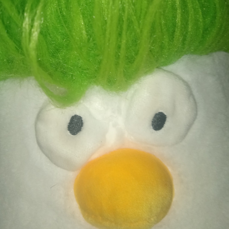 ˚*̥(∗*⁰͈꒨⁰͈)*̥哇哦~
