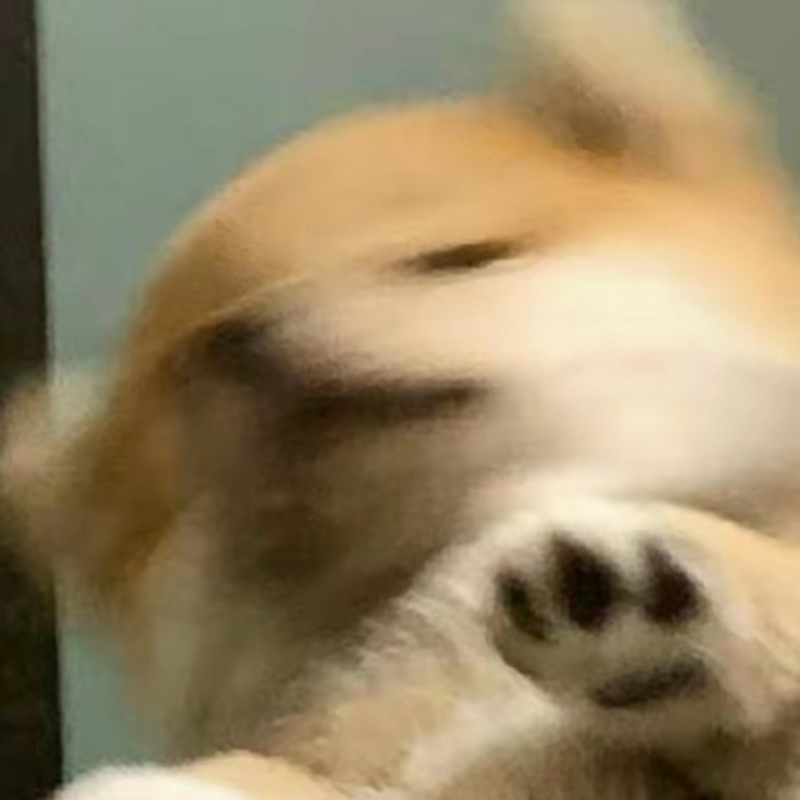 泼墨丶