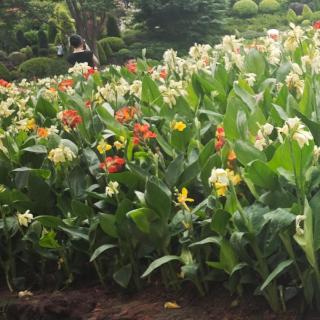 小人物