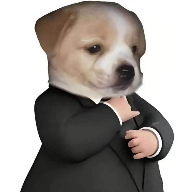 小帅帅mg
