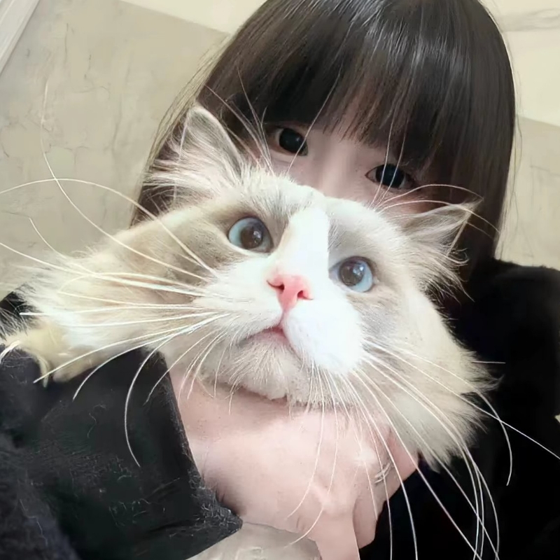 乞丐妹妹