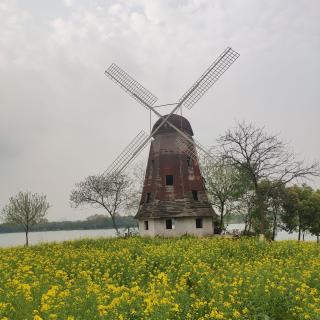 Nico_Chen1118