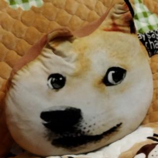 小陈