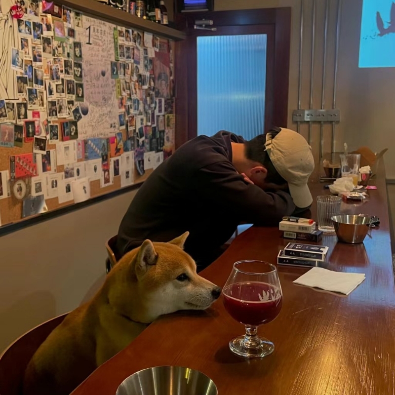 哲晰