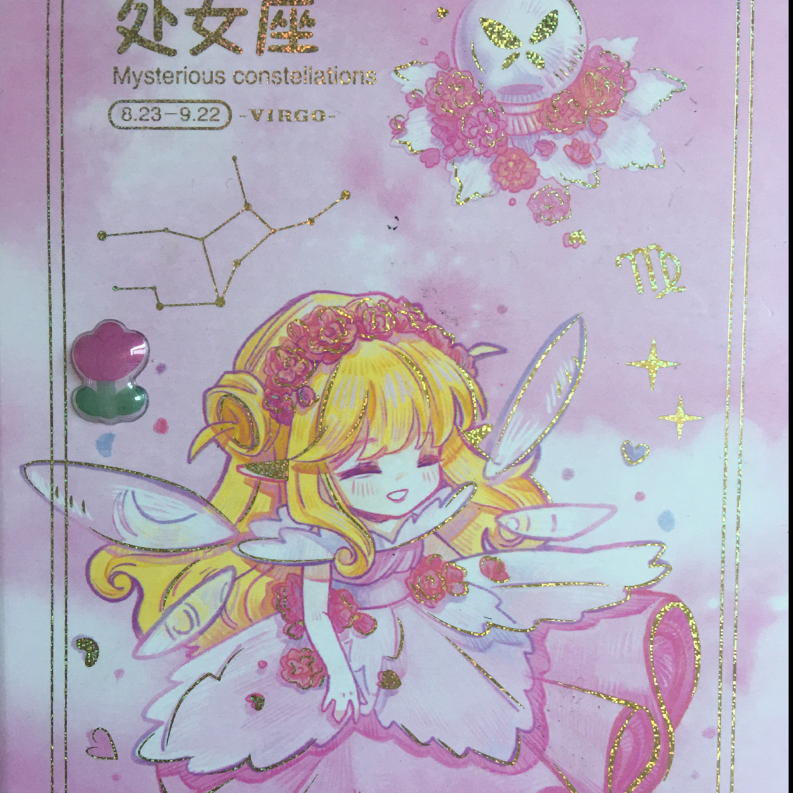 ♍️♍️♍️十二星座♍️