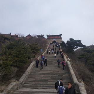 w雨中人
