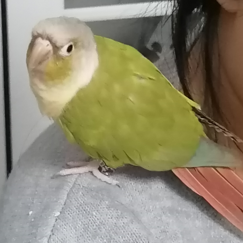 乐宝有点饿
