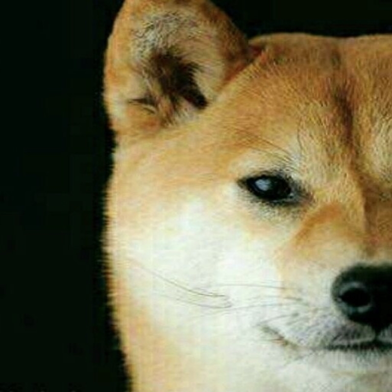 机智的大踠