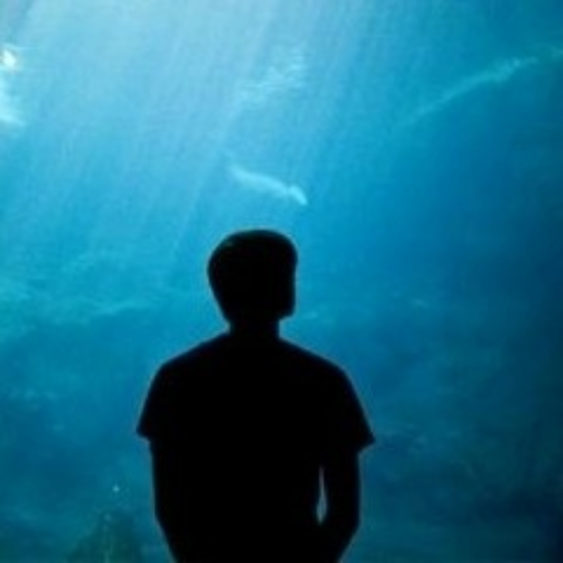 远方的远方