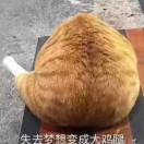 安心罐头