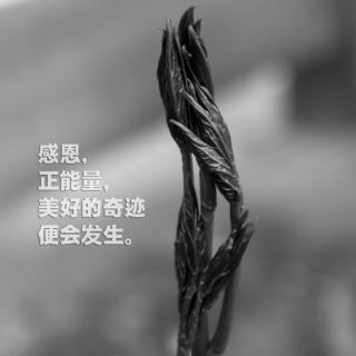梦初