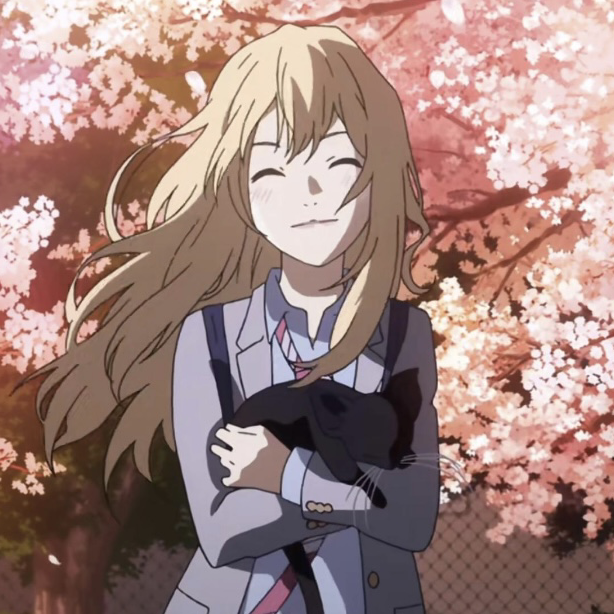 hikari光ひかり