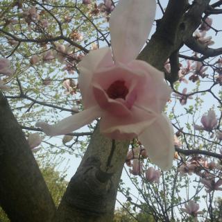 李茂森