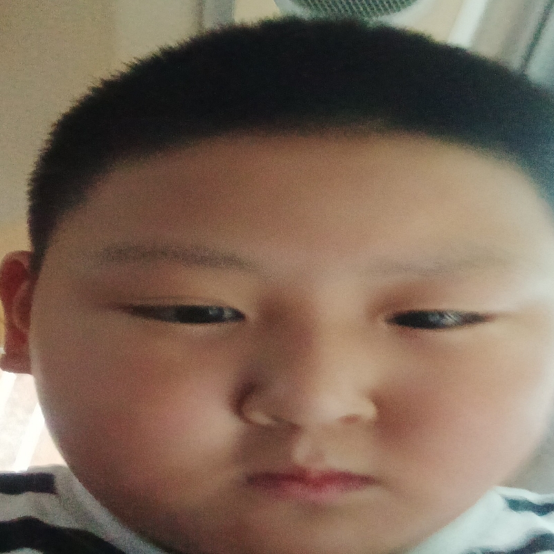 果卉