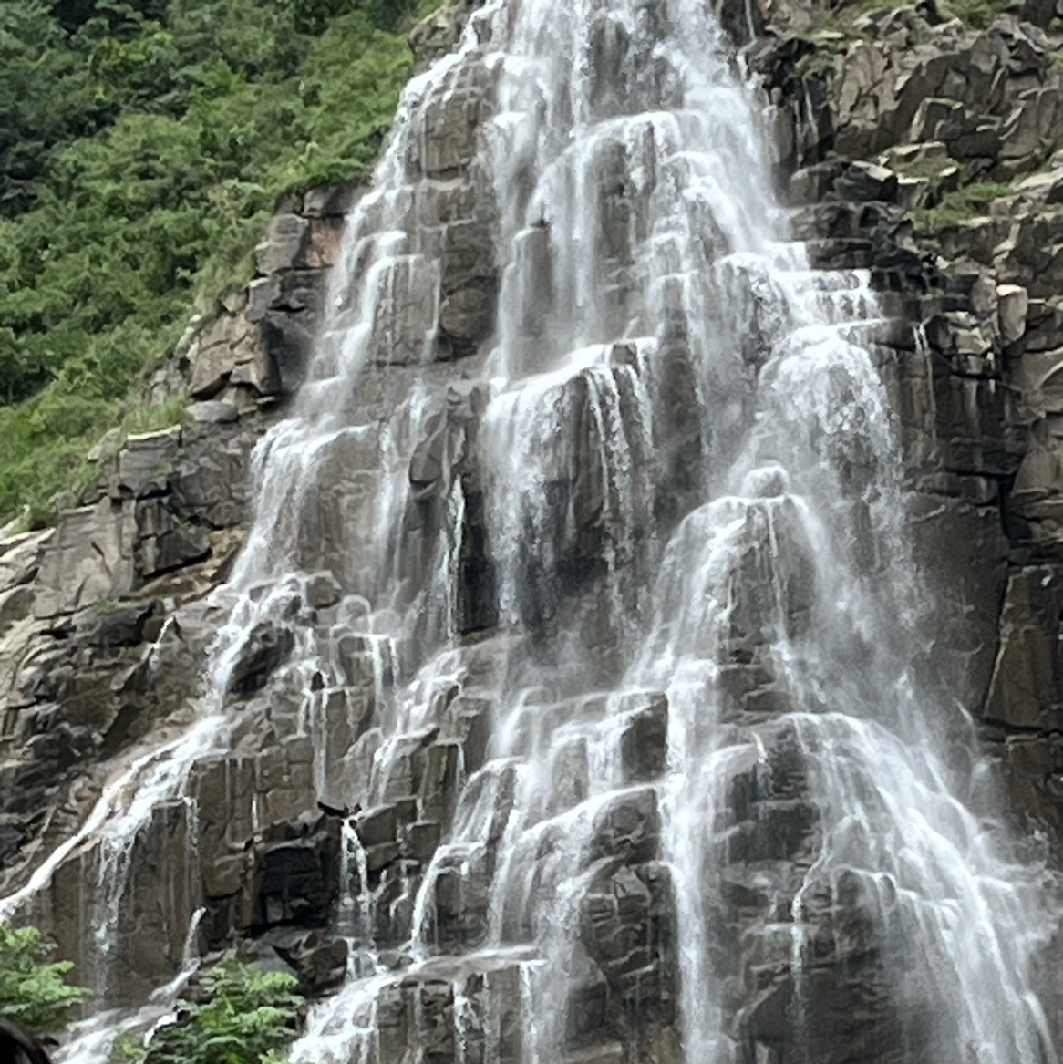 夏天的鱼