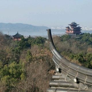 春日阳光