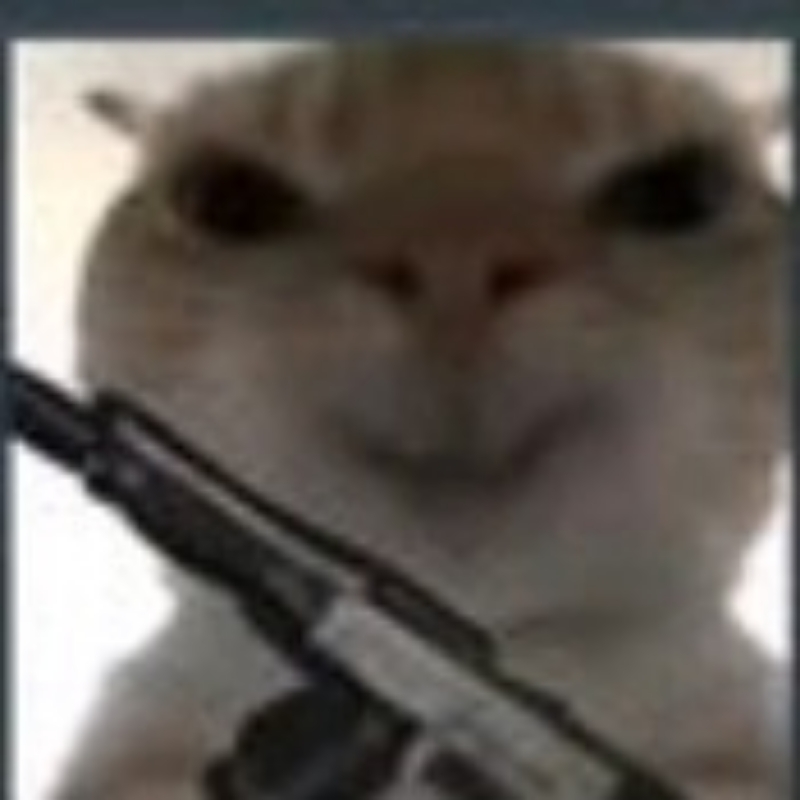 鼠鼠