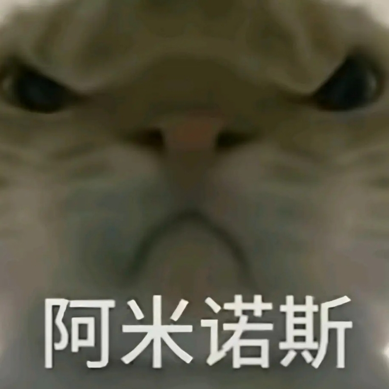 鼠鼠🏀