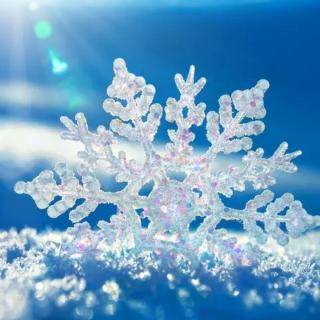  雪