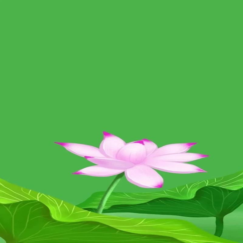 123456789pad方紅卡老大高