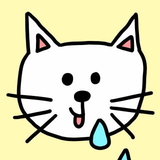 猫猫大王