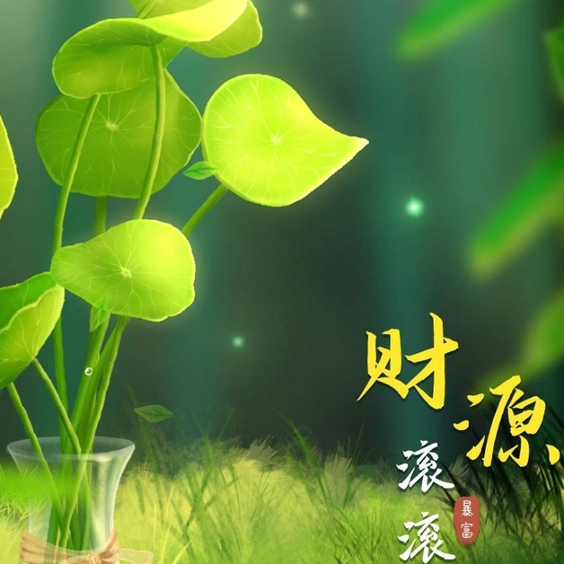 秋天的那个下午