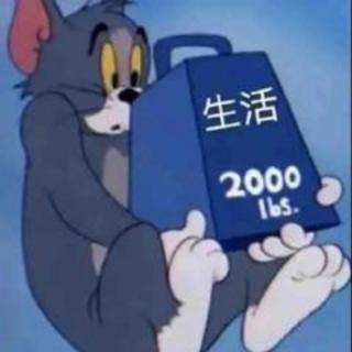 2807985238