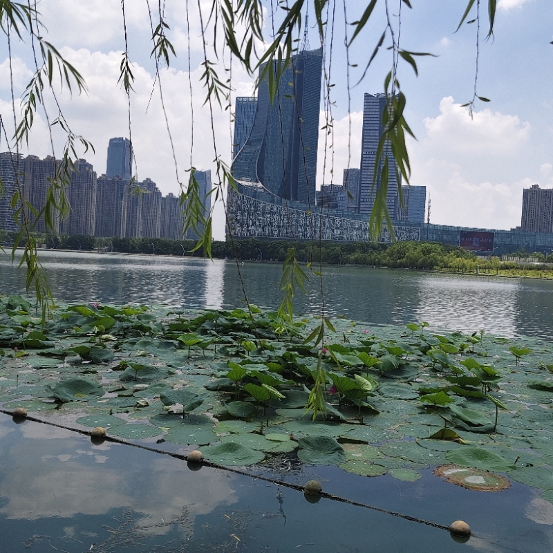 风行水上