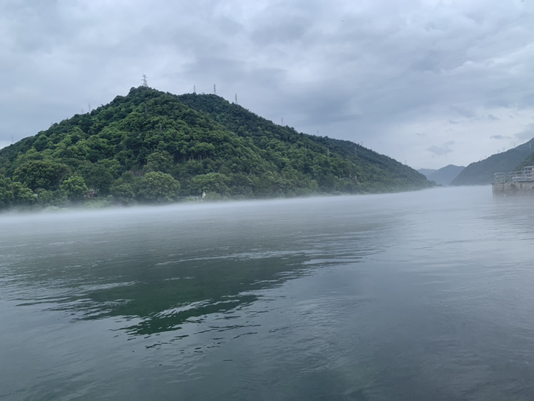 浄