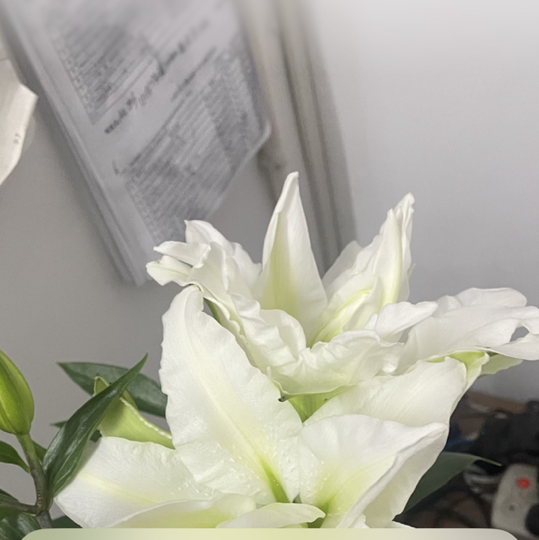 小来@