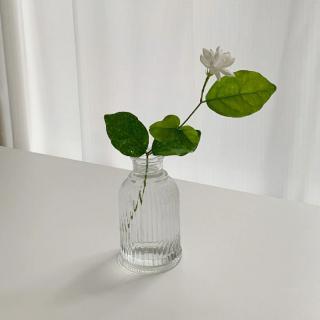 是七月盛夏啊