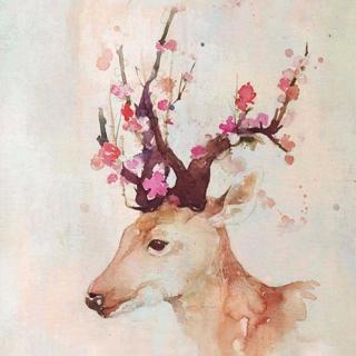 他是 | 小顾