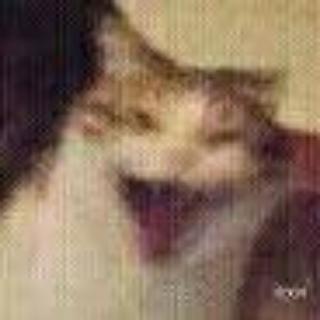 zan-v-